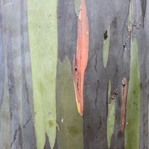 Meet your Posher, Todd